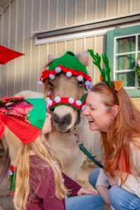 WhatsApp Image 2026-03-12 at 14.13.37