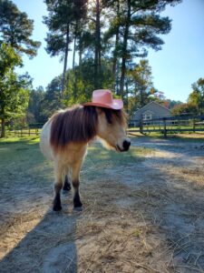 WhatsApp Image 2026-03-12 at 14.14.13